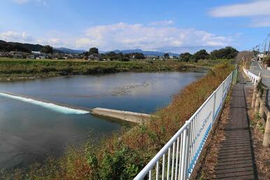 秋川沿い遊歩道