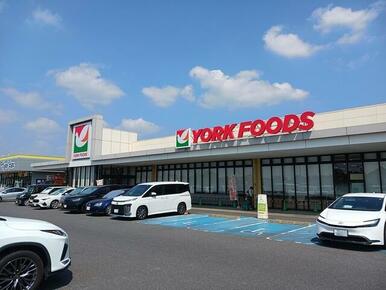ヨークフーズ柏の葉公園店