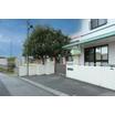 幼稚園、保育園