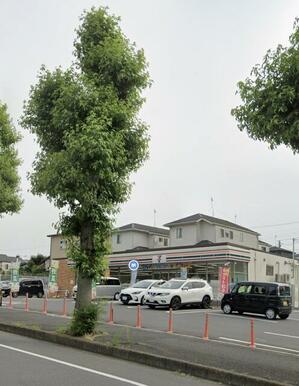 セブンイレブン松戸小金原８丁目店