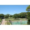公園