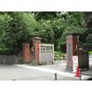 大学
