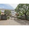 小学校