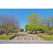 周辺環境