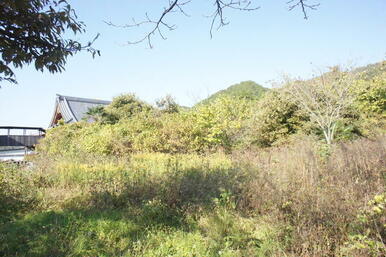 敷地の南より撮影（建物の屋根は西のお寺）