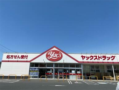 ﾔｯｸｽﾄﾞﾗｯｸﾞ 柏光ｹ丘店
