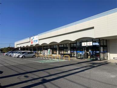 カワチ薬品 荒川沖店