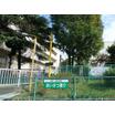 幼稚園、保育園