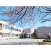 大学