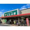販売店
