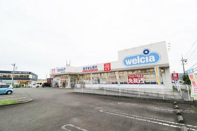 ウエルシア（清水江尻店）