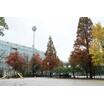 公園