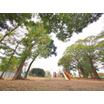 公園