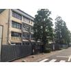 大学