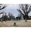 公園