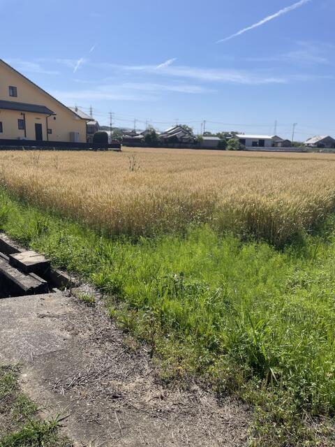 物件画像 築上郡上毛町 大字安雲 住宅用地