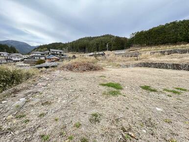 敷地の南西端から北を見て