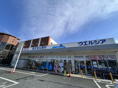 ウエルシア狭山北入曽店