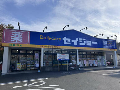 デイリーケアセイジョー狭山台店