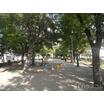 公園