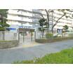 幼稚園、保育園
