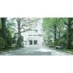 大学