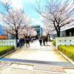 大学