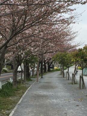 マラソン道路