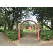 公園