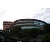 大学