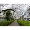 公園