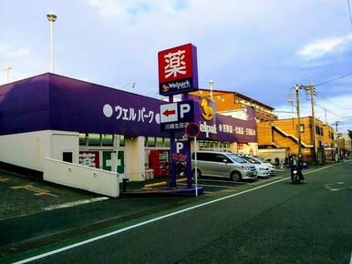 ウェルパーク川崎生田店