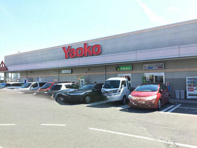 ヤオコー高崎井野店