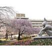 公園