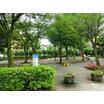 公園