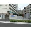 幼稚園、保育園