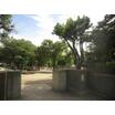 公園