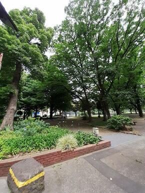 青山公園