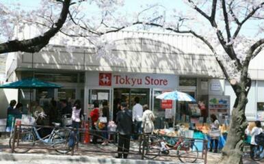 宮崎台東急ストア