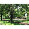 公園