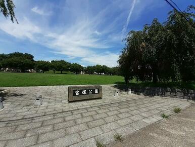 富塚公園