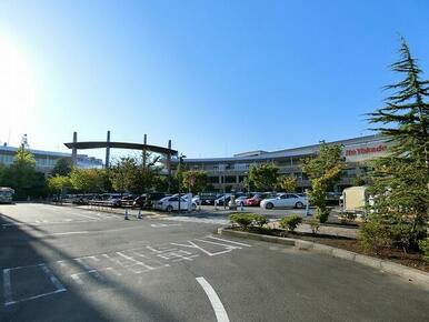 イトーヨーカドー（ららぽーと）