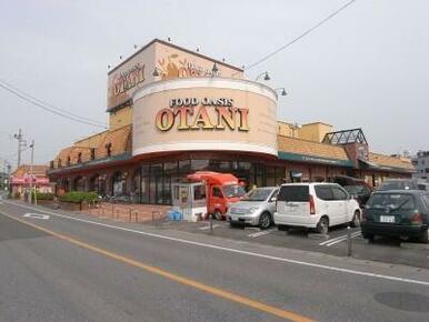 オータニ鶴田店　1113ｍ/徒歩14分、車3分