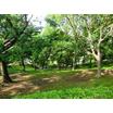 公園