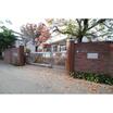 幼稚園、保育園