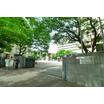 幼稚園、保育園