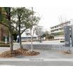 大学