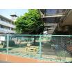 幼稚園、保育園