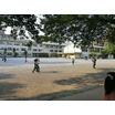 小学校