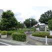 公園